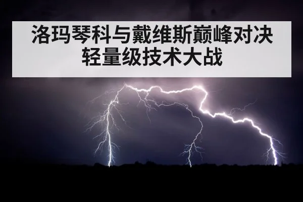 洛玛琴科与戴维斯巅峰对决 轻量级技术大战